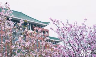 穗是哪里的简称 穗是哪里的简称